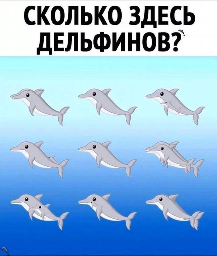 СКОЛЬКО ЗДЕСЬ ДЕЛЬФИНОВ?