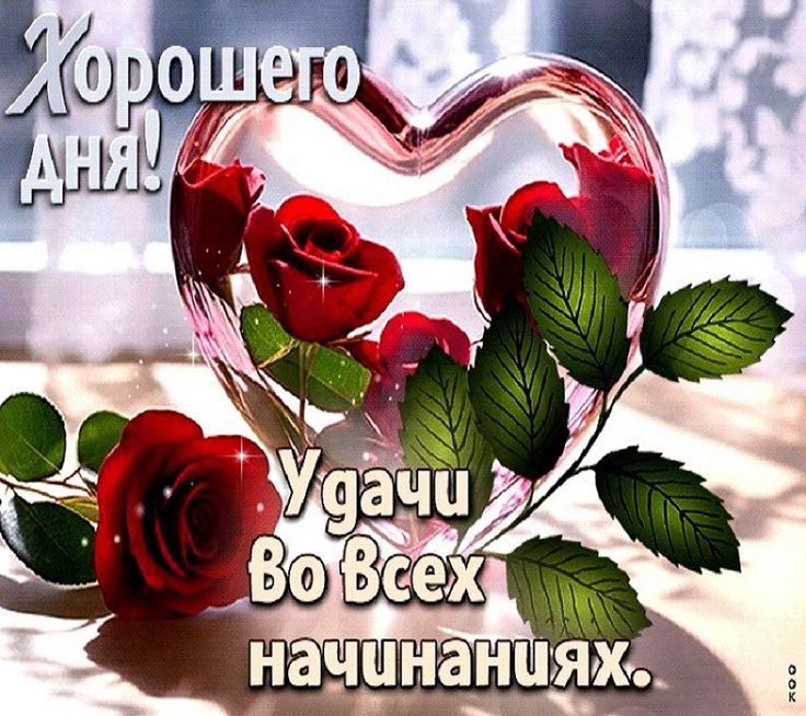 Хорошего дня! Удачи во всех начинаниях.