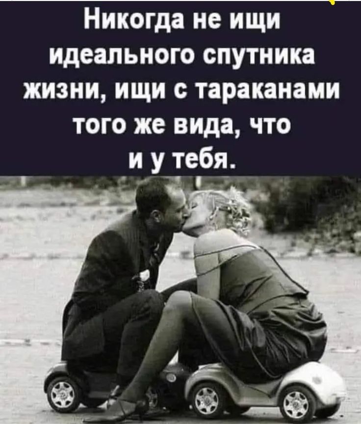Никогда не ищи идеального спутника жизни, ищи с тараканами того же вида, что и у тебя.