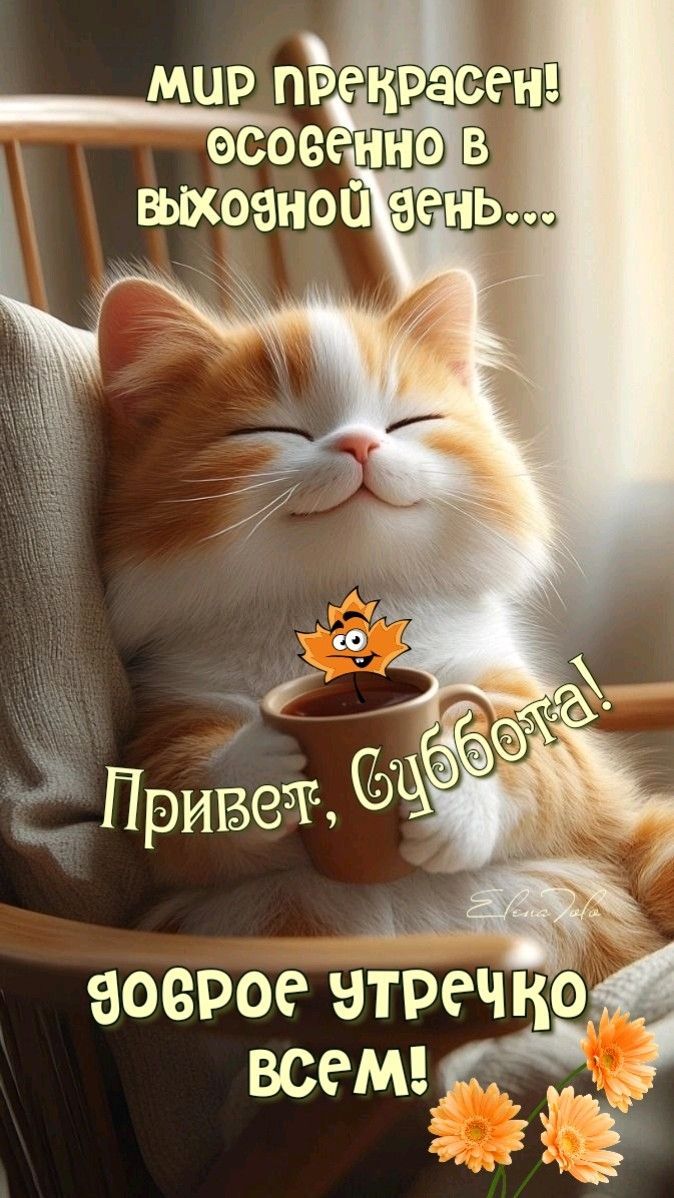 мир прекрасен! особенно в выходной день... Привет, суббота! доброе утречко всем!