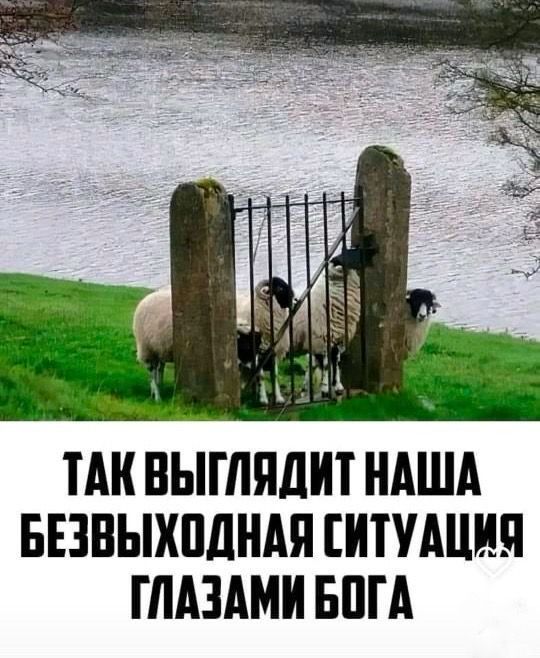 ТАК ВЫГЛЯДИТ НАША БЕЗВЫХОДНАЯ СИТУАЦИЯ ГЛАЗАМИ БОГА