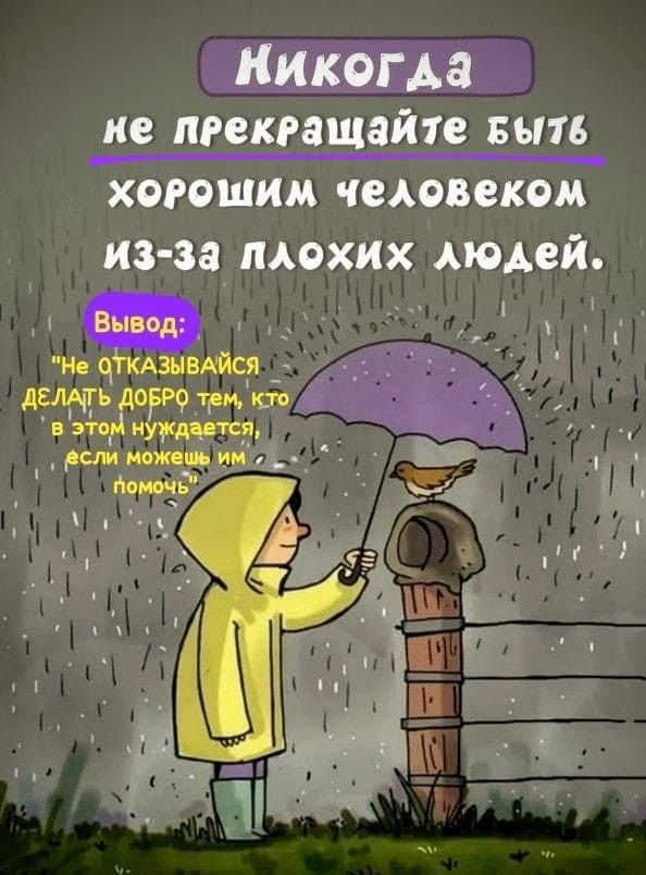Никогда не прекращайте быть хорошим человеком из-за плохих людей.
Вывод: 