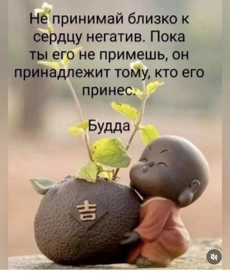 Не принимай близко к сердцу негатив. Пока ты его не примешь, он принадлежит тому, кто его принес. Будда