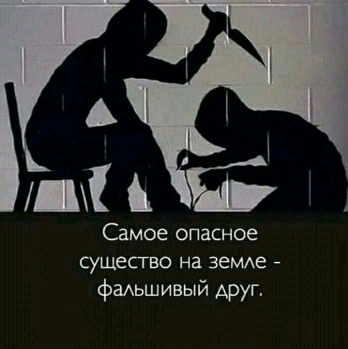 Самое опасное существо на земле - фальшивый друг.