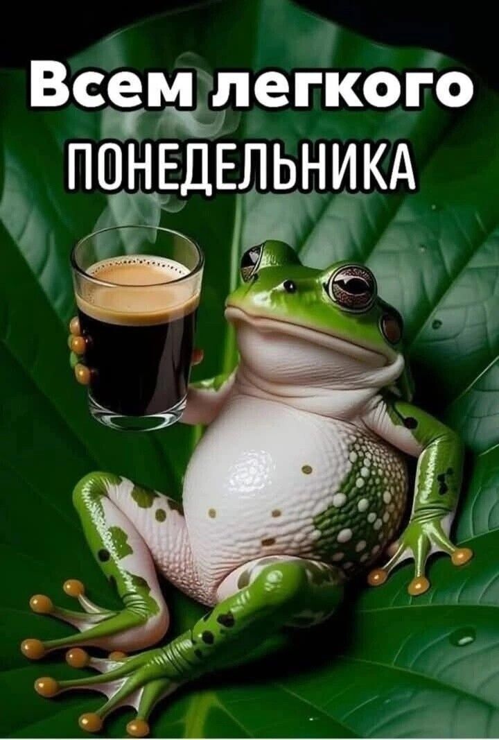 Всем легкого понедельника
