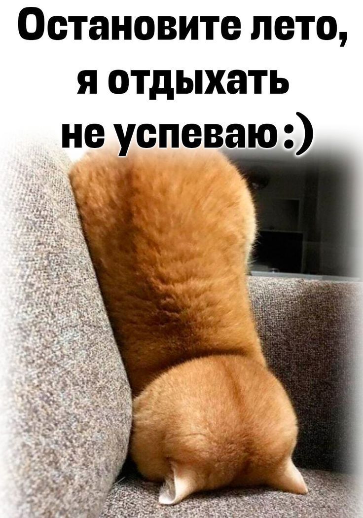 Остановите лето, я отдыхать не успеваю :)