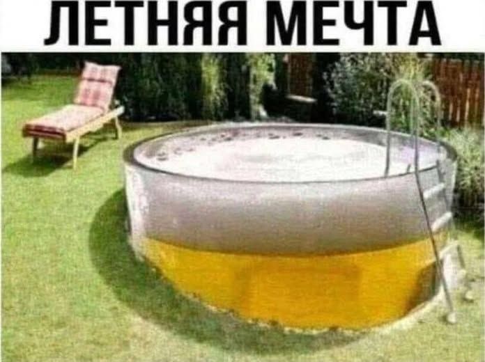 ЛЕТНЯЯ МЕЧТА