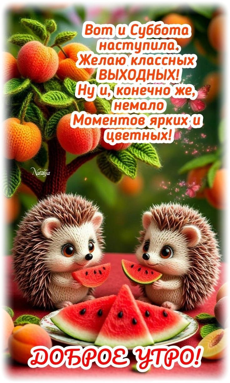 Вот и Суббота наступила, Желаю классных ВЫХОДНЫХ! Ну и, конечно же, немало Моментов ярких и цветных! ДОБРОЕ УТРО!