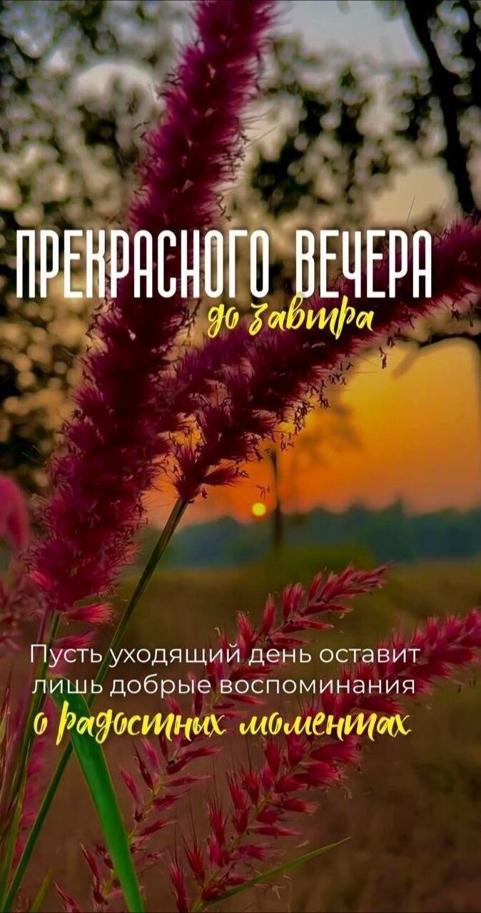 ПРЕКРАСНОГО ВЕЧЕРА до завтра
Пусть уходящий день оставит лишь добрые воспоминания о радостных моментах
