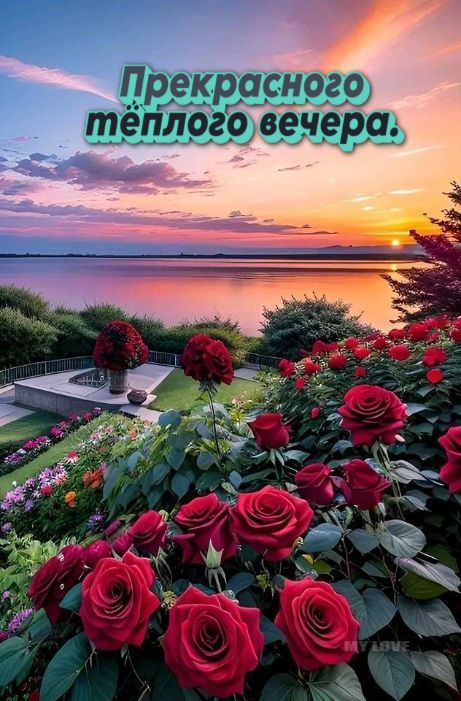 Прекрасного тёплого вечера.