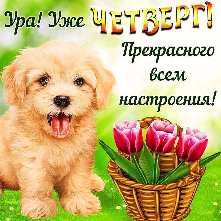 Ура! Уже ЧЕТВЕРГ! Прекрасного всем настроения!