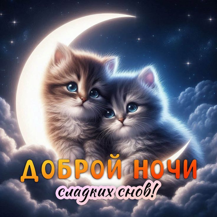 ДОБРОЙ НОЧИ сладких снов!