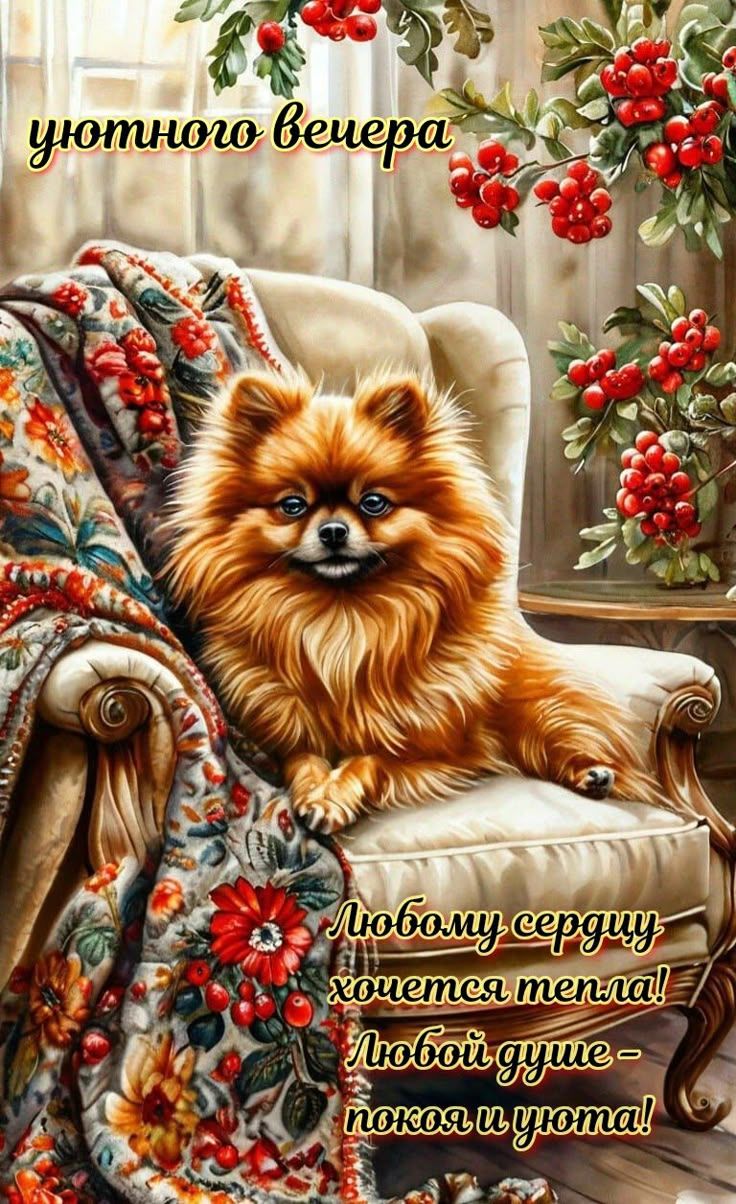 уютного вечера
Любому сердцу хочется тепла!
Любой душе - покоя и уюта!