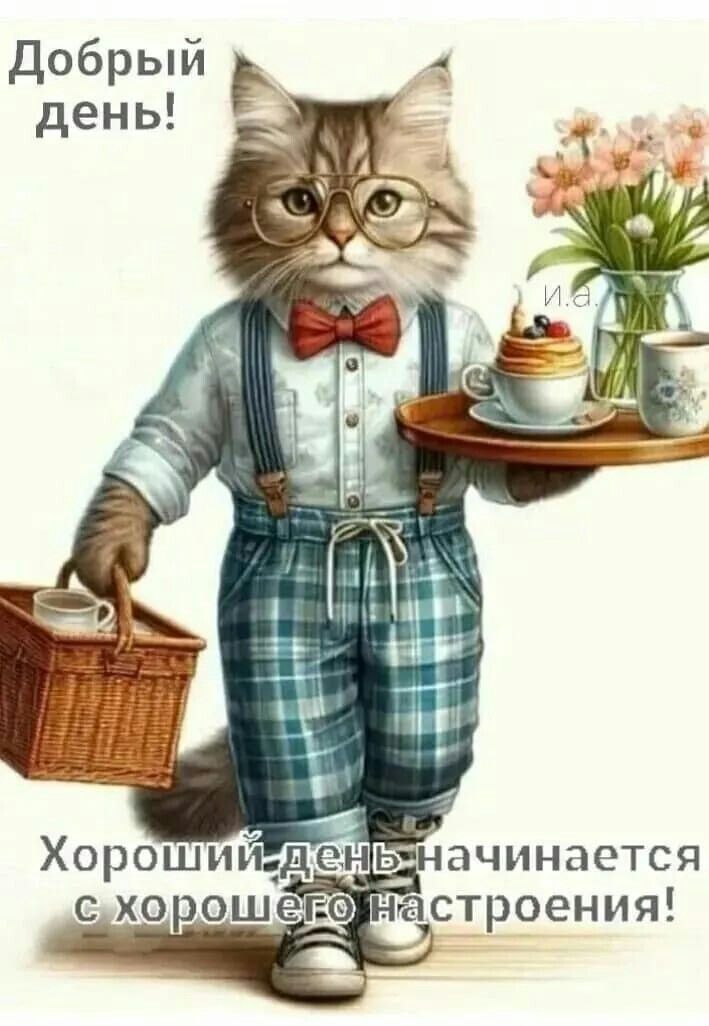 Добрый день!
Хороший день начинается с хорошего настроения!