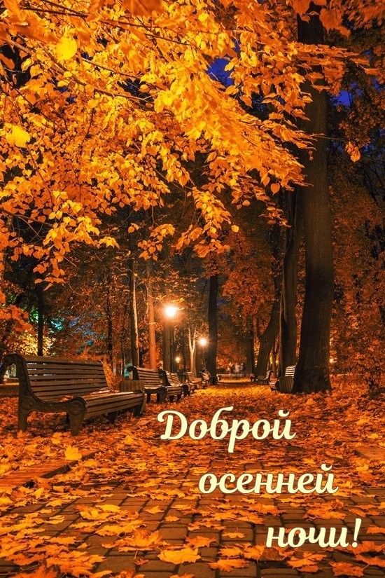 Доброй осенней ночи!