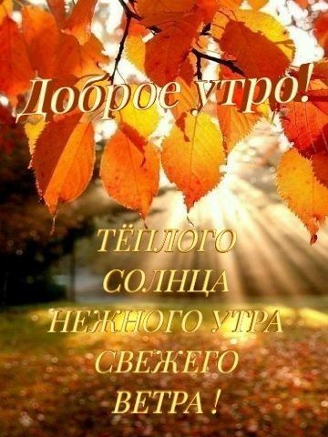 Доброе утро! ТЁПLOГО СОЛНЦА НЕЖНОГО УТРА СВЕЖЕГО ВЕТРА !