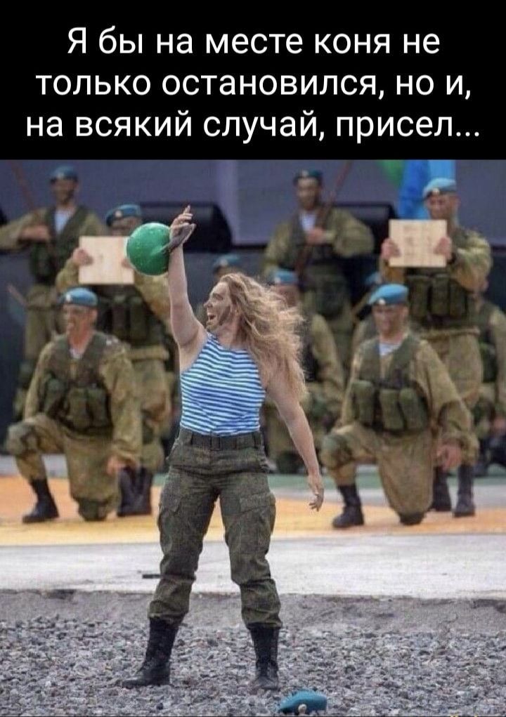 Я бы на месте коня не только остановился, но и, на всякий случай, присел...