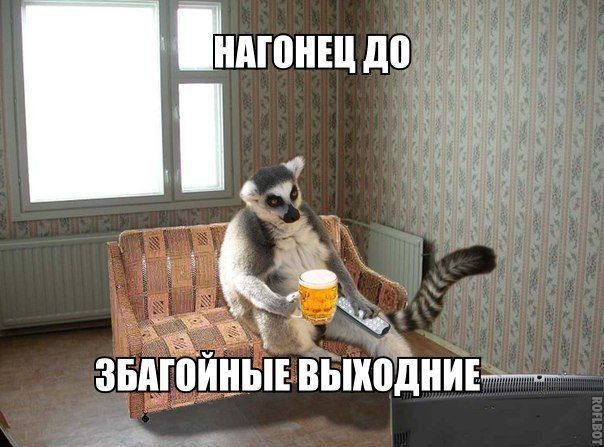 Нагонец до забагойные выходные