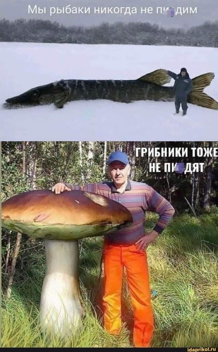 Мы рыбаки никогда не пьюдим.
Грибники тоже не пьютят.