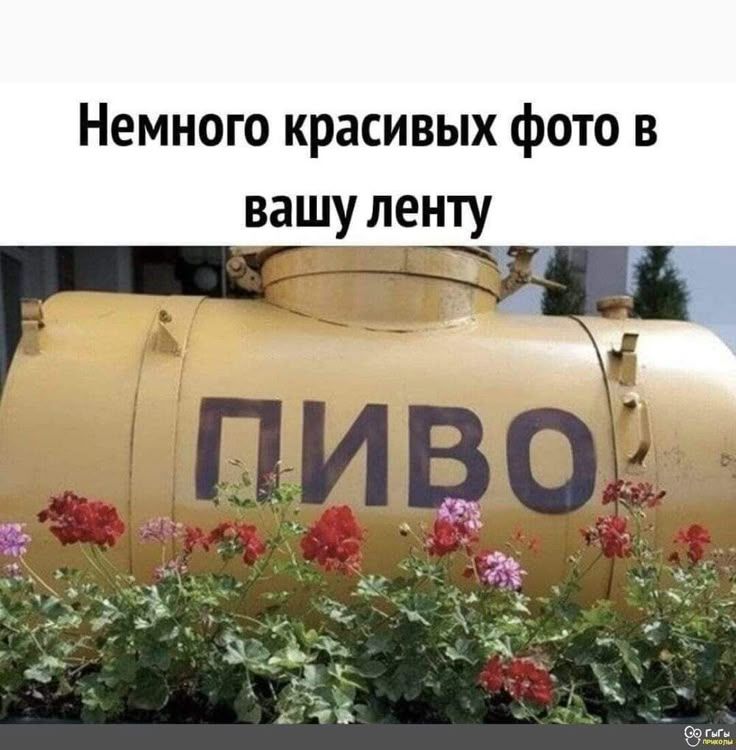 Немного красивых фото в вашу ленту