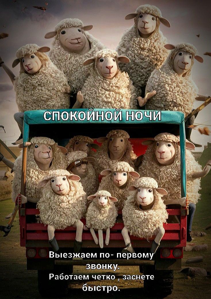 СПОКОЙНОЙ НОЧИ
Выезжаем по- первому звону,
Работаем четко - заснеете быстро.