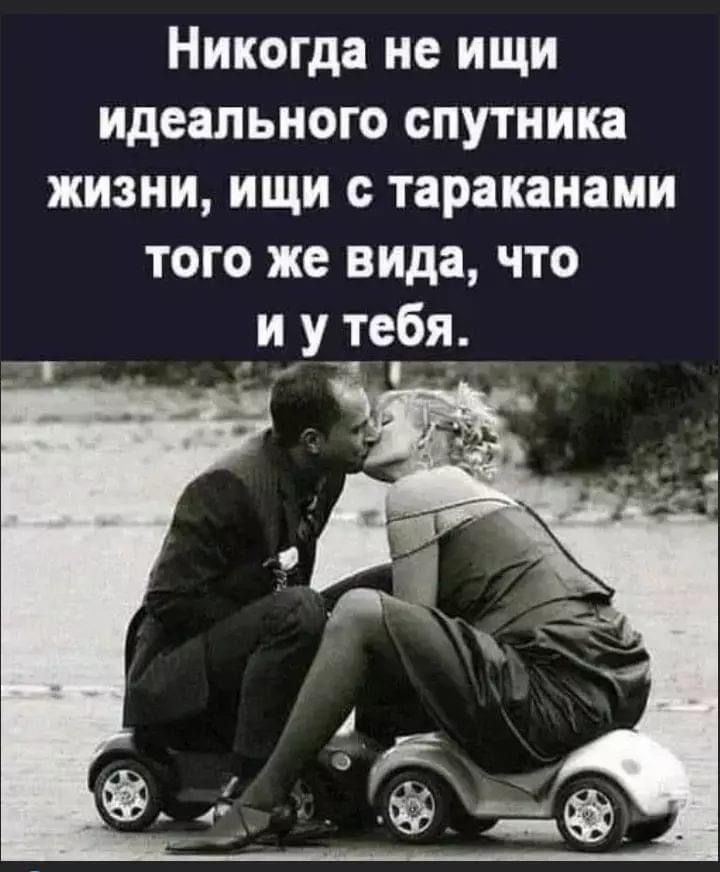 Никогда не ищи идеального спутника жизни, ищи с тараканами того же вида, что и у тебя.