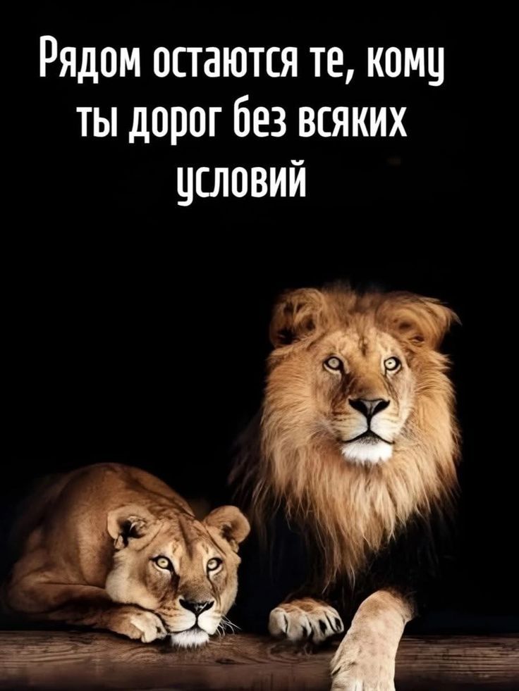 Рядом остаются те, кому ты дорог без всяких условий