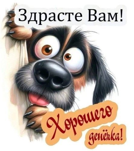 Здравствуйте Вам! Хорошего денёка!