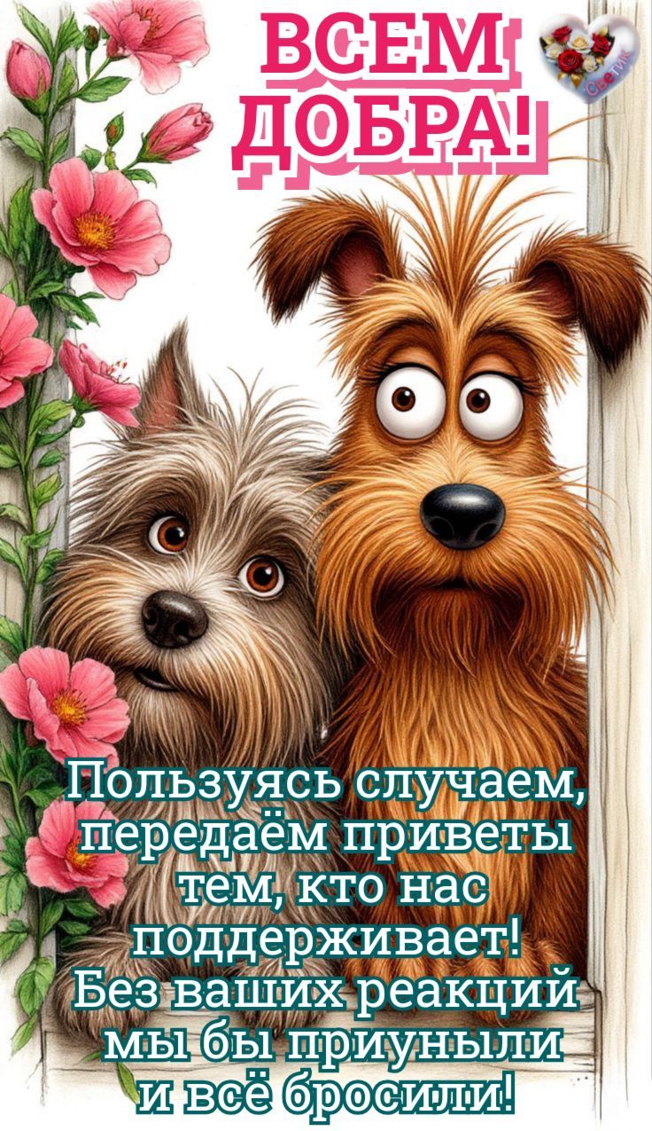 ВСЕМ ДОБРА!

Пользуясь случаем, передаём приветы тем, кто нас поддерживает! Без ваших реакций мы бы приуныли и всё бросили!