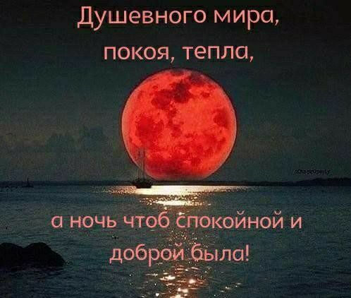 Душевного мира, покоя, тепла, а ночь чтоб спокойной и доброй была!