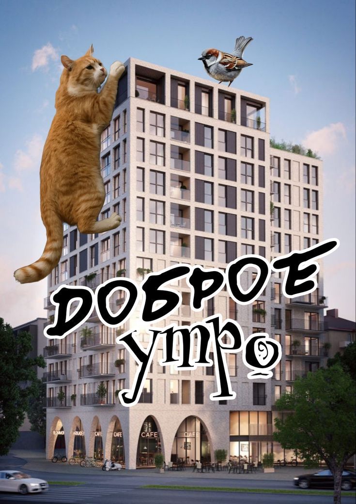 ДОБРОЕ утро