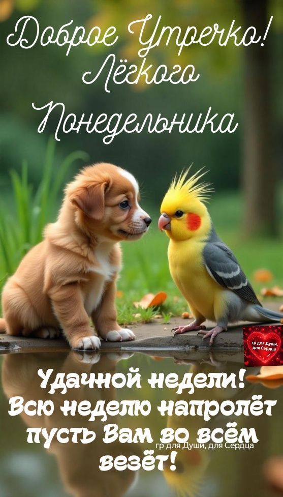 Доброе Утрешко! Лёгкого Понедельника Удачной недели! Всю неделю напролёт пусть Вам во всём везёт! гр для Души, для Сердца