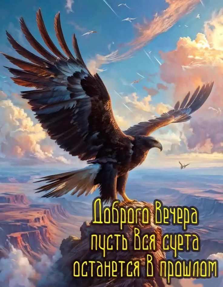Доброю Вечера пусть Вся суета останется В прошлом