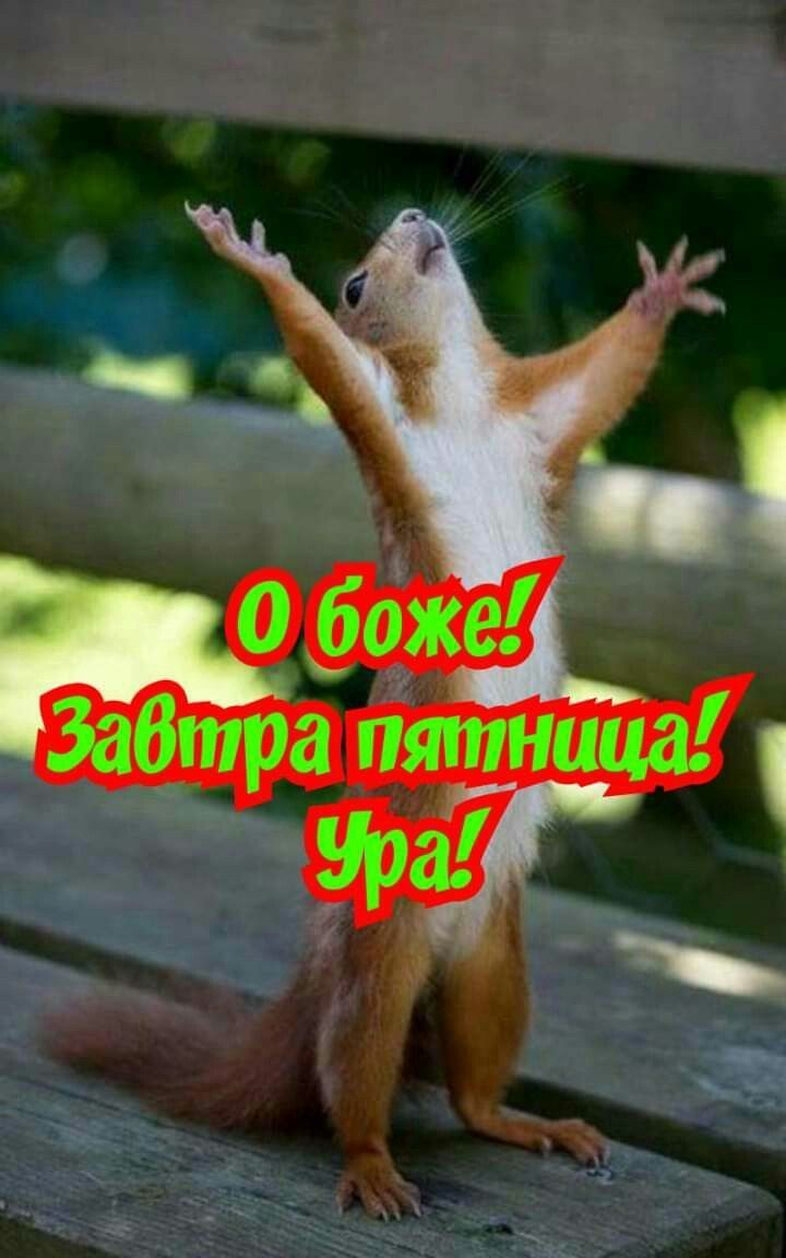О Боже! Завтра пятница! Ура!