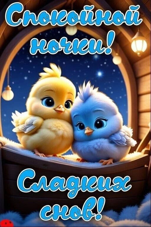 Спокойной ночи! Сладких снов!