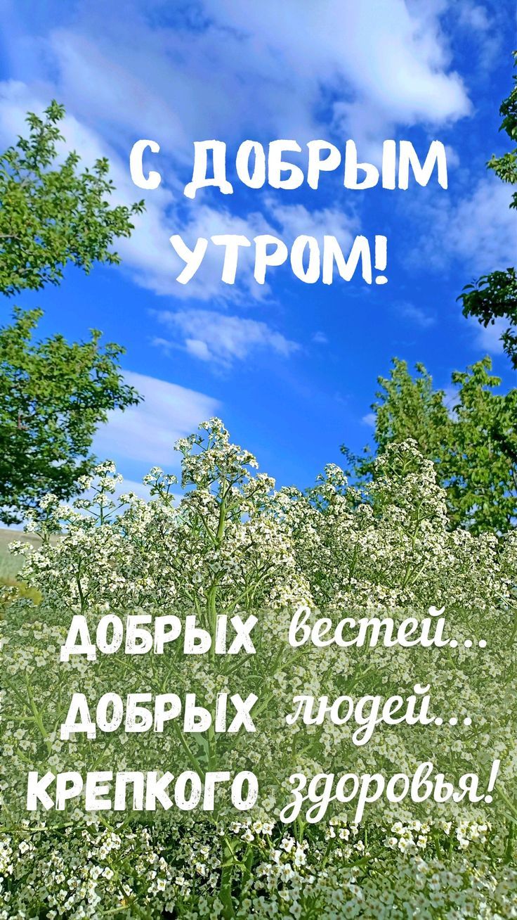 С ДОБРЫМ УТРОМ! ДОБРЫХ вестей... ДОБРЫХ людей... КРЕПКого здоровья!
