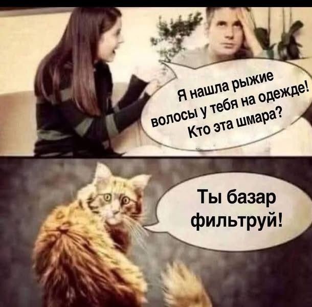 Я нашла ржавые волосья у тебя на одежде! Кто эта шмара? Ты базар фильтруй!