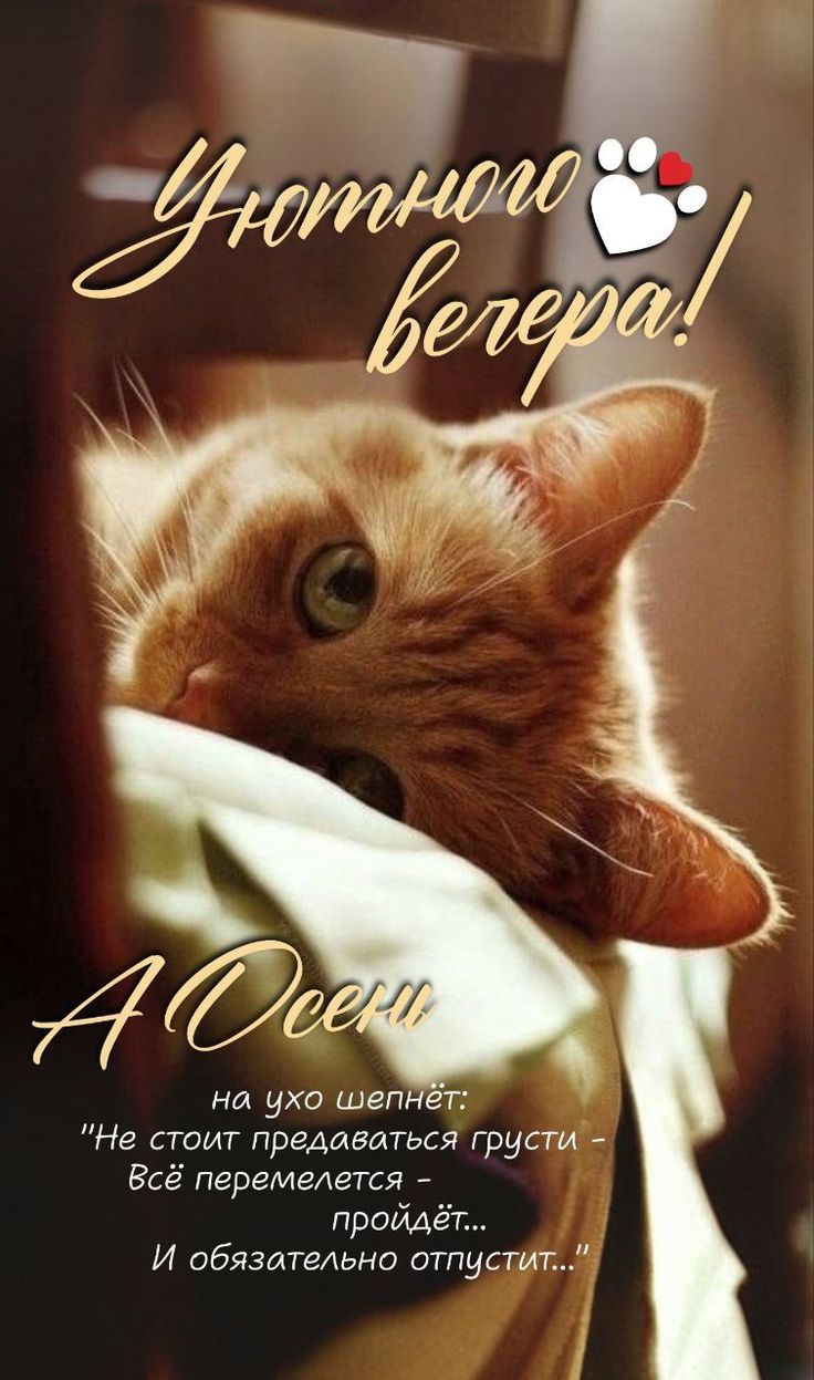 Уютного вечера!
А Осени
на ухо шепнёт:
