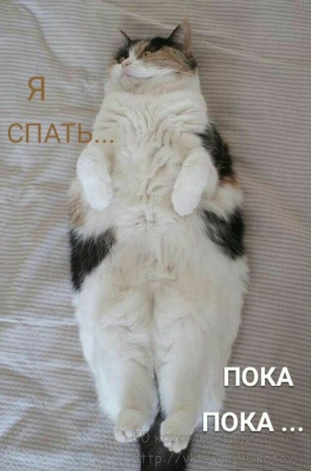 Я СПАТЬ... ПОКА ПОКА ...