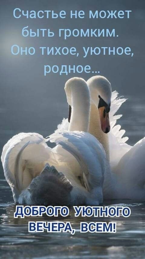 Счастье не может быть громким. Оно тихое, уютное, родное...
Доброго уютного вечера, всем!