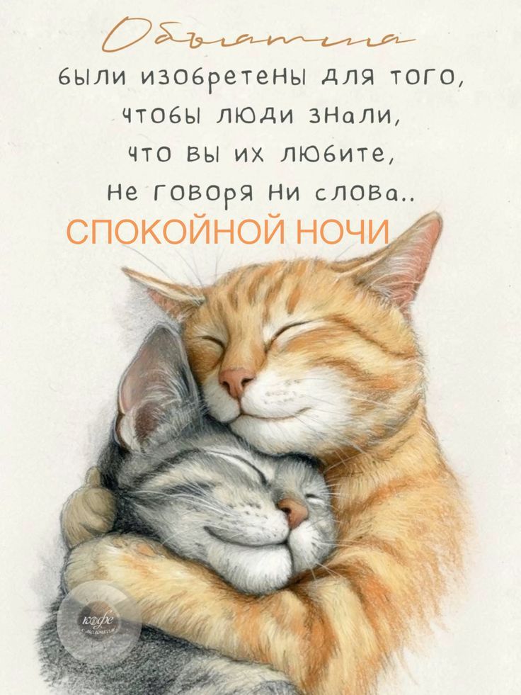 Объятия были изобретены для того, чтобы люди знали, что вы их любите, не говоря ни слова.. СПОКОЙНОЙ НОЧИ
