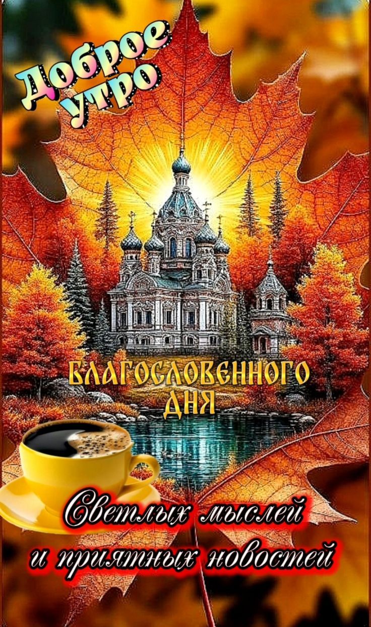 Доброе утро
Благословенного дня
Светлых мыслей и приятных новостей