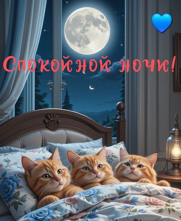 Спокойной ночи!