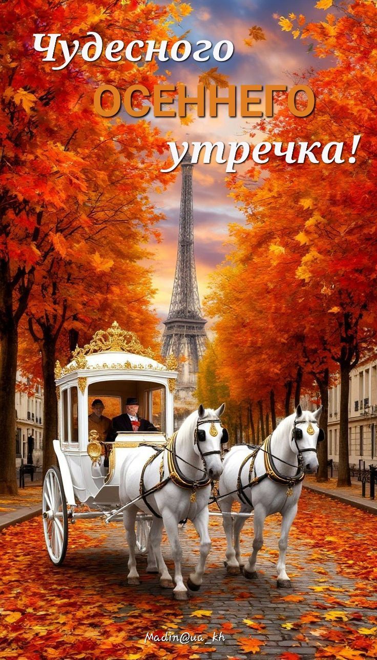 Чудесного осеннего утречка!