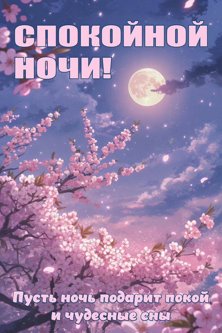 СПОКОЙНОЙ НОЧИ!
Пусть ночь подарит покой и чудесные сны