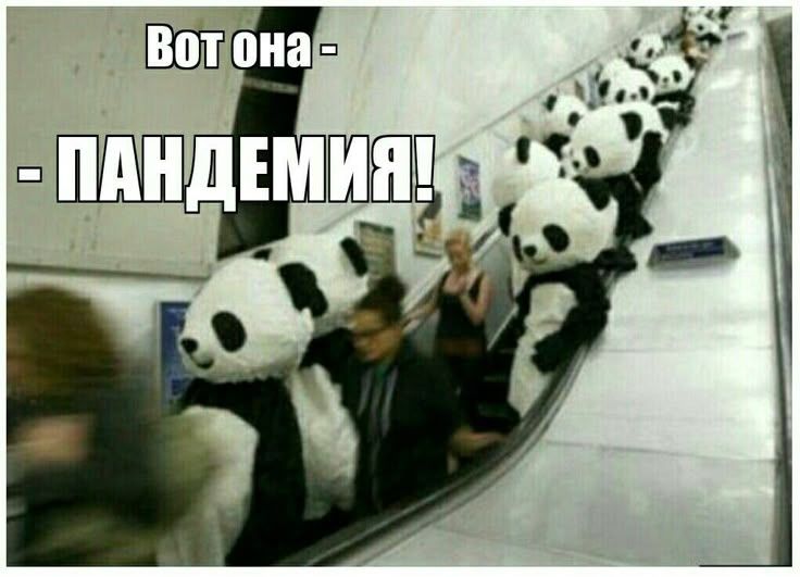 Вот она - ПАНДЕМИЯ!