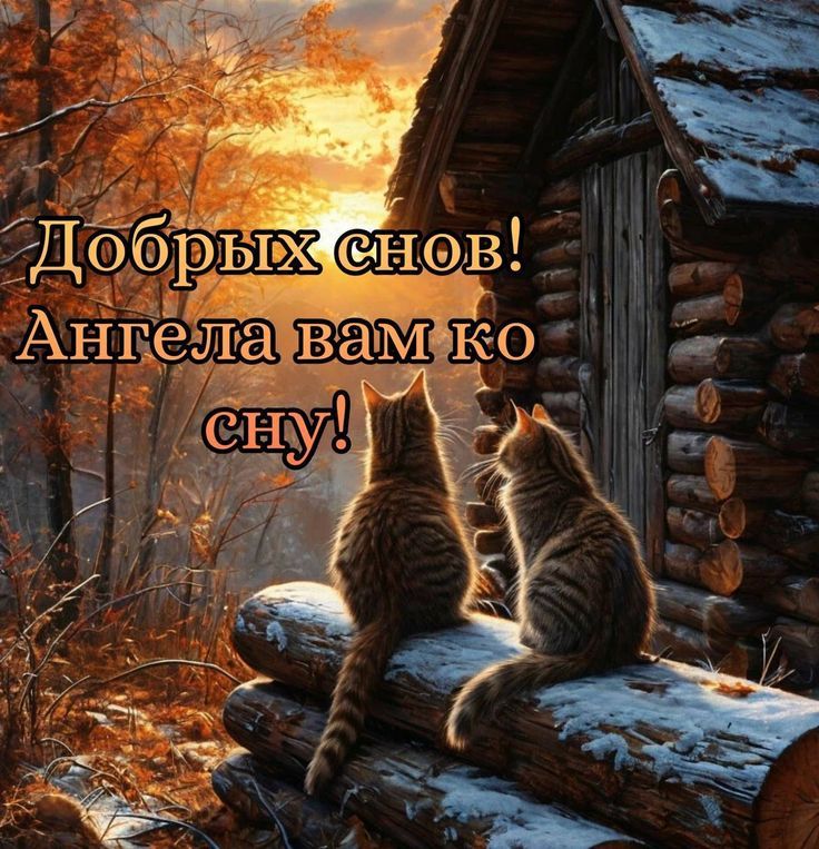 Добрых снов! Ангела вам ко сну!