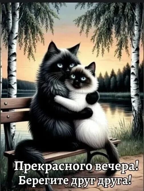 Прекрасного вечера! Берегите друг друга!
