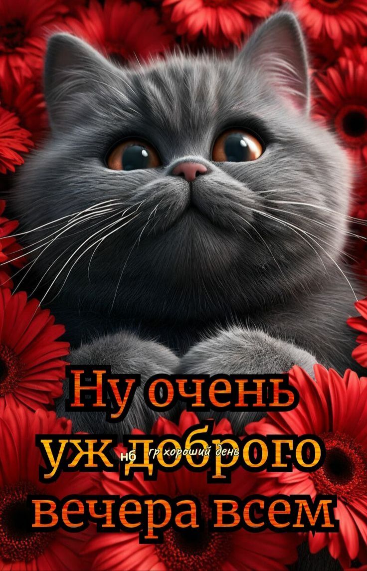 Ну очень уж доброго вечера всем