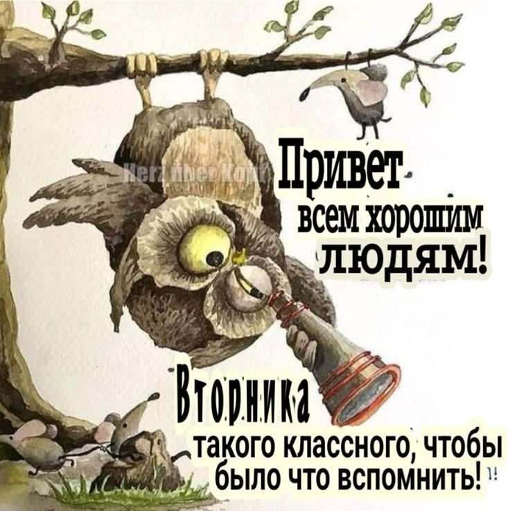 Привет всем хорошим людям! Вторника такого классного, чтобы было что вспомнить!